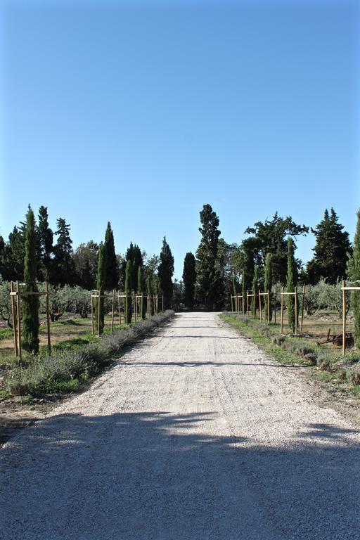 לינה וארוחת בוקר גרבסון Domaine De Fontbelle מראה חיצוני תמונה