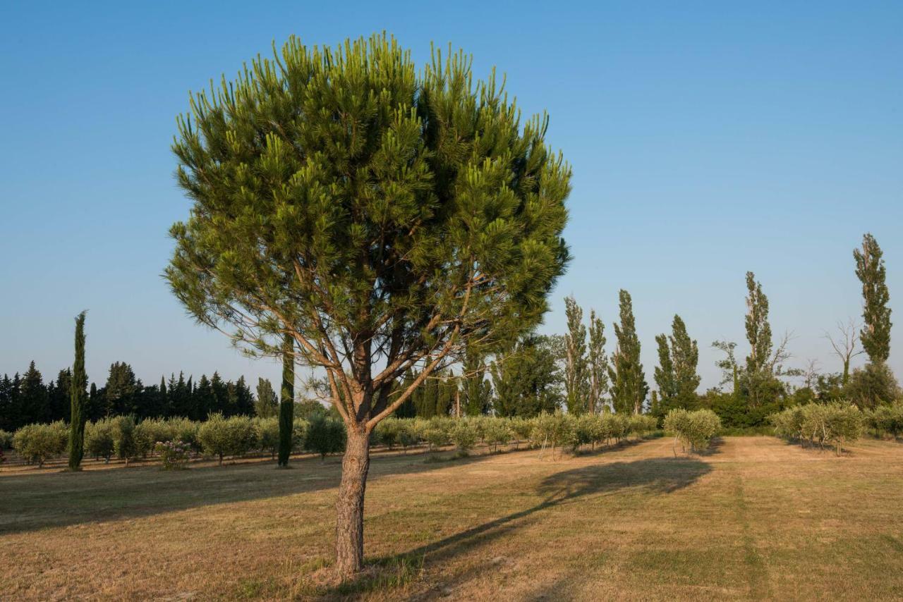 לינה וארוחת בוקר גרבסון Domaine De Fontbelle מראה חיצוני תמונה
